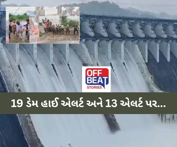 ગુજરાતમાં બરાબરનું જામ્યું ચોમાસું!